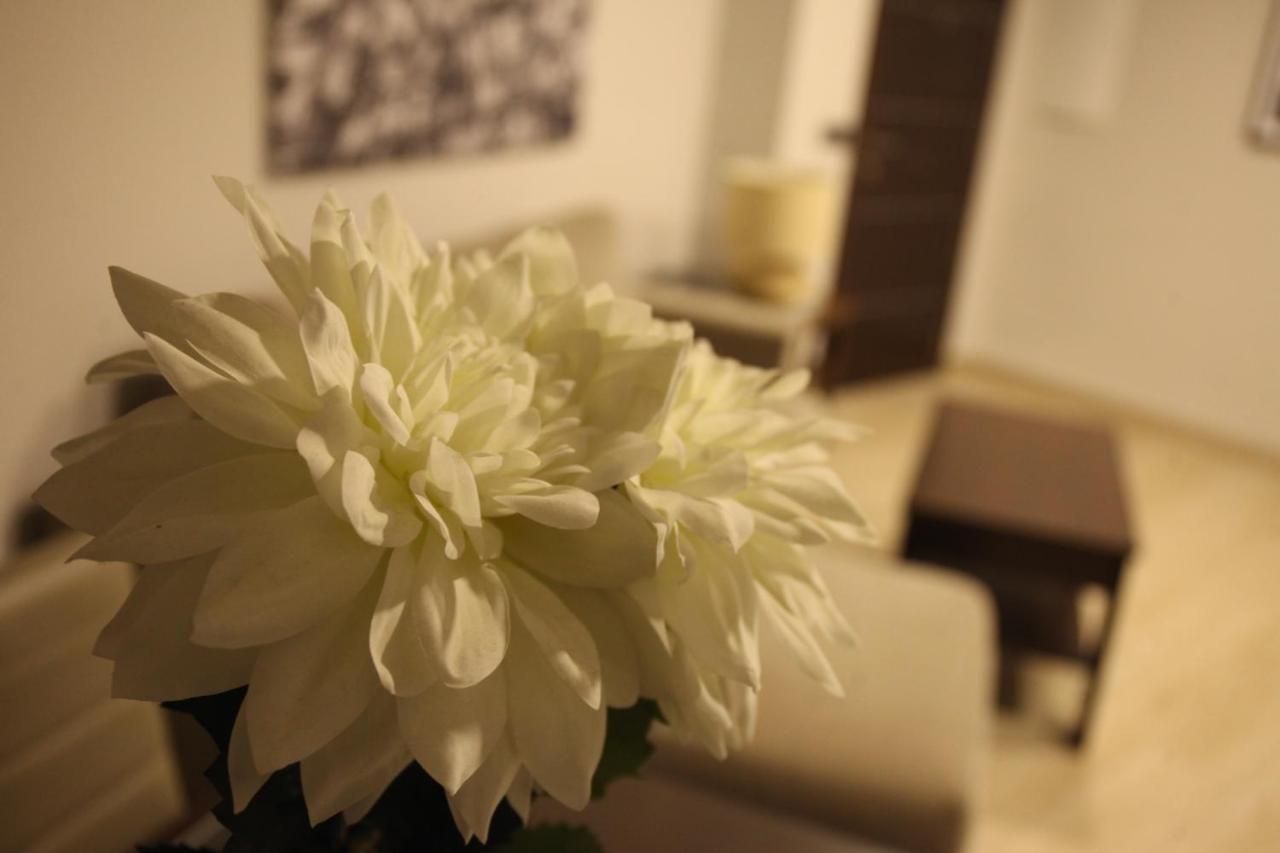 Cano กอร์โดบา ภายนอก รูปภาพ